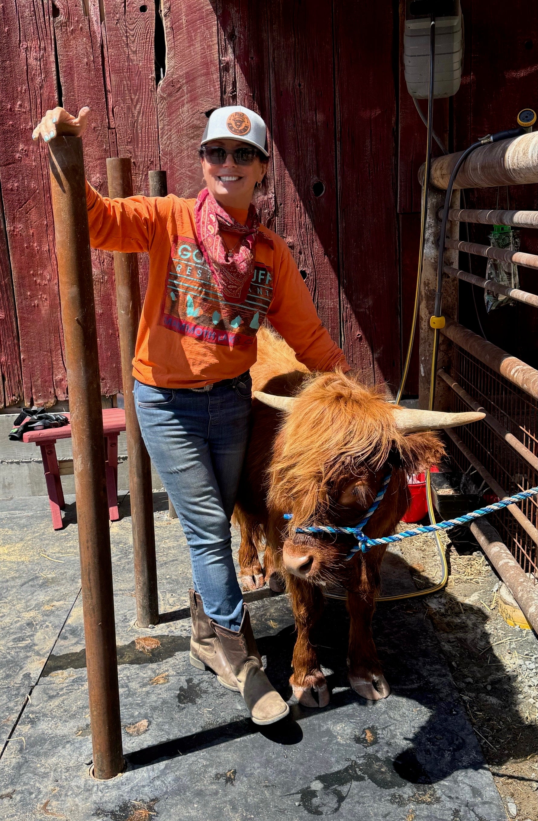 Person standing next to a Highland cow in an outdoor setting with a red wooden wall in the background.